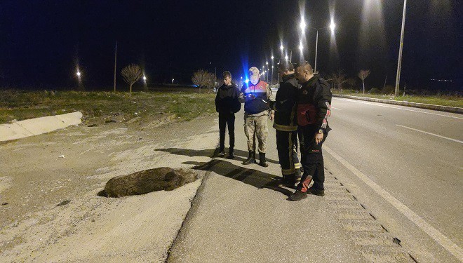 Erciş'te otomobilin çarptığı domuz öldü
