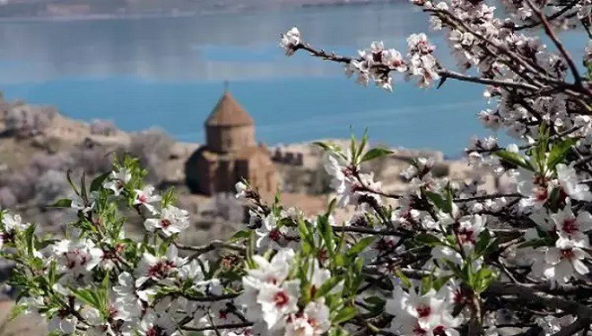 Akdamar Adası’nda Badem Çiçeği Festivali düzenlenecek