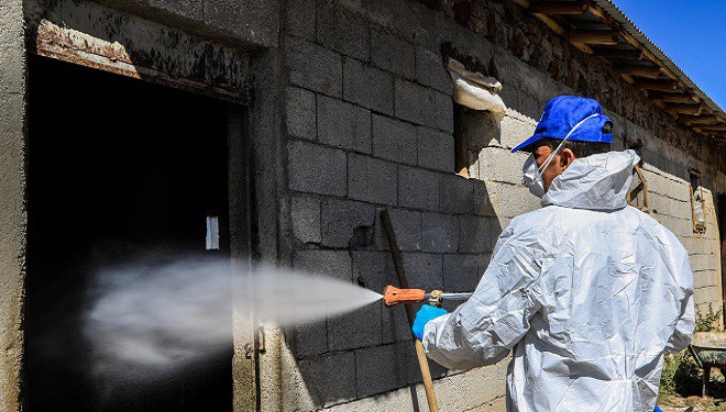 Van Büyükşehir Belediyesi 250 mahallede 4 bine yakın ahırı ilaçladı