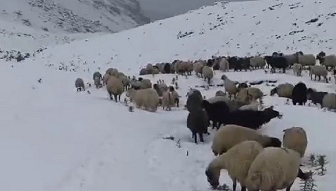Başkale'de kar etkili oldu, yollar kapandı