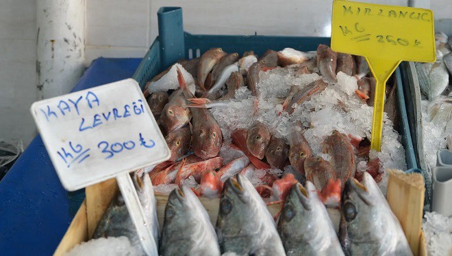 Van’da balık fiyatları ne kadar? (Van Balığı, levrek, hamsi..)