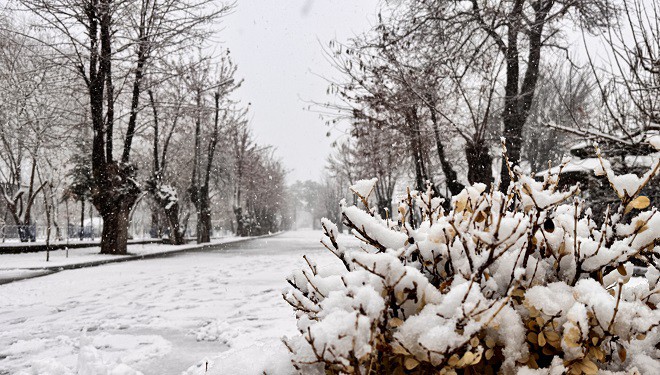 Tatvan'da kar yağışı başladı
