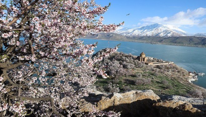 Akdamar Adası 3. Badem Çiçeği Festivalinin program akışı belli oldu