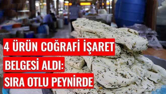 Van'ın otlu peyniri Avrupa'dan tescil beklerken, 4 ürün daha coğrafi işaret belgesi aldı