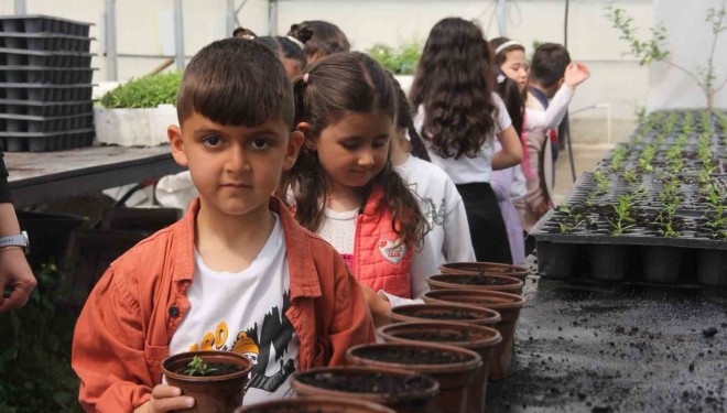 Minik öğrenciler seralarda doğayla buluştu