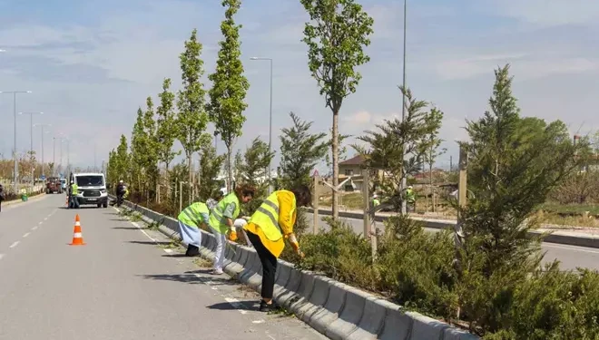 Van Büyükşehir Belediyesinden sahil yolunda çalışma