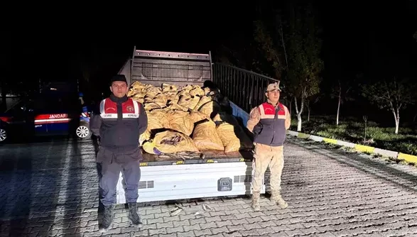 Van’da 3 ton 820 kilo kaçak avlanmış balık ele geçirildi