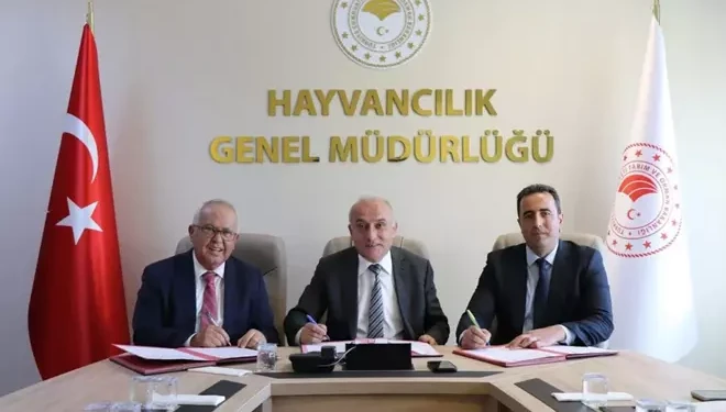 Arıcılıkta yeni dönem başladı