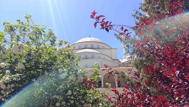 Van’da yarım asırlık Hazreti Ömer Camii’nde