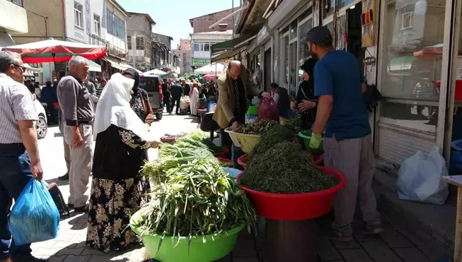 Dağlardan toplanan otlar hem şifa hem de kazanç sağlıyor