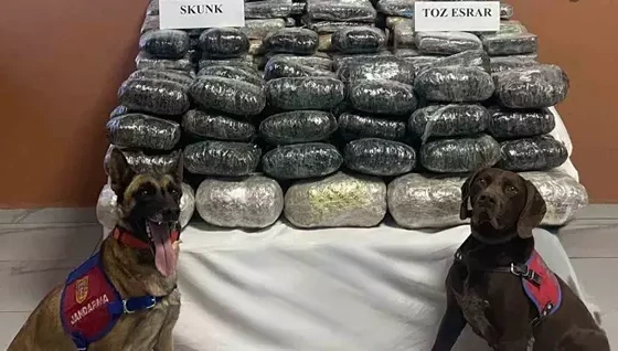 Van’da 90 kilo uyuşturucu ele geçirildi