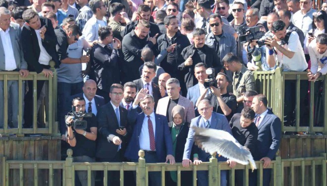 Milli Eğitim Bakanı Tekin, inci kefali göçünü izledi