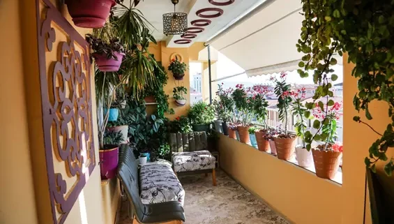 En güzel balkon yarışmasının kazananlarına ödülleri verildi