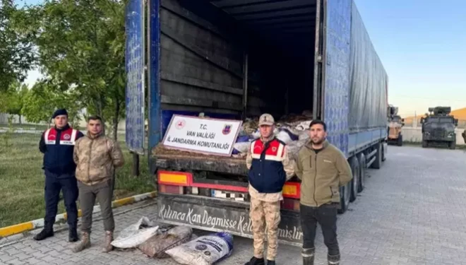 Van’da 19 ton 200 kilo inci kefali balığı ele geçirildi