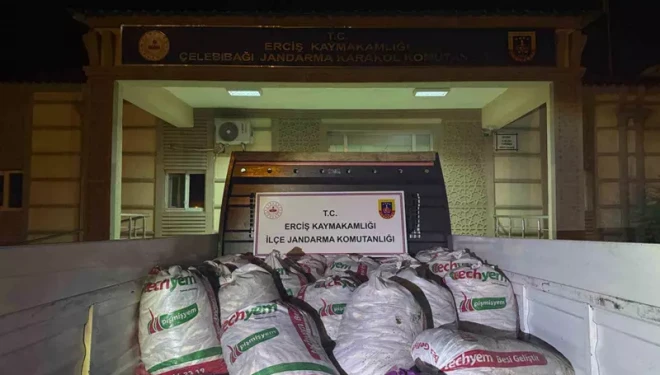 Van’da kaçak balık avlayan 16 kişiye 205 bin 360 lira idari para cezası uygulandı