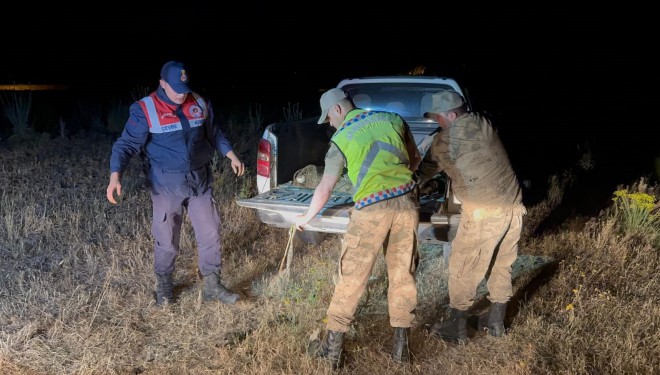 Van’da 1,5 ton inci kefali ele geçirildi