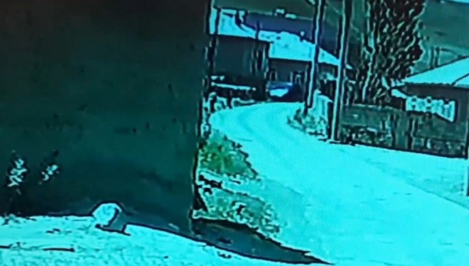 Özalp’ta kamyonet duvara çarptı, çocuklar korkuyla kaçtı