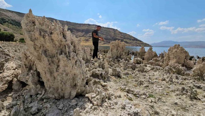 Van Gölü sahilleri mikrobiyalit tarlasına döndü