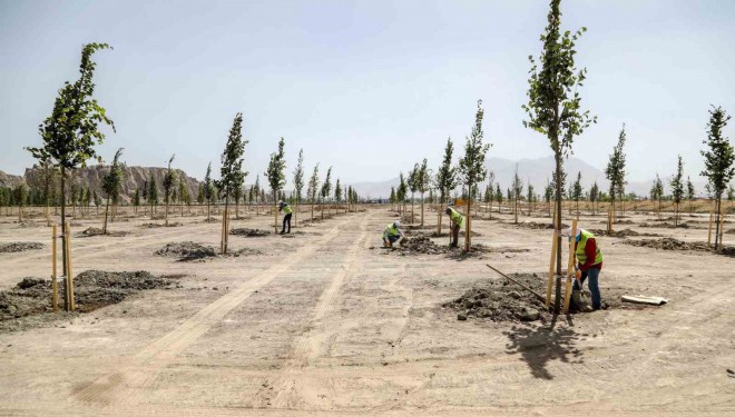 Van Büyükşehir Belediyesi Ihlamur Parkı’yla kente renk katacak