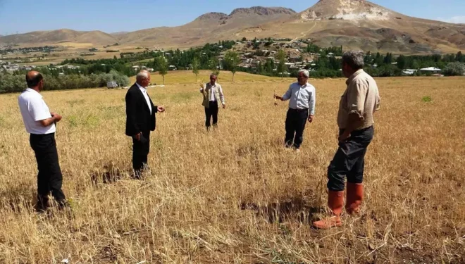 Vanlı çiftçiler sulama göleti istiyor