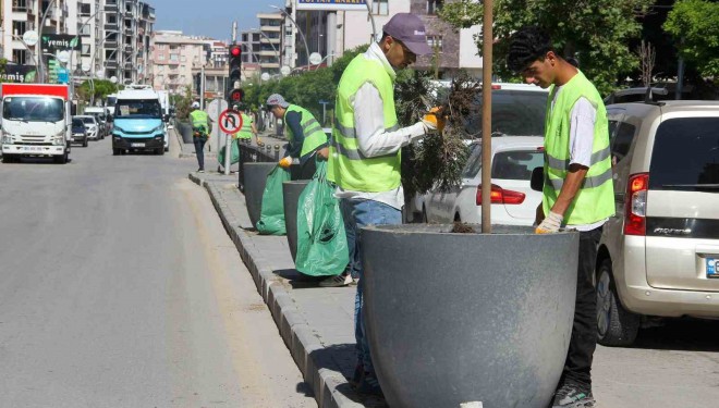 Van Büyükşehir Belediyesinden yeşil alanlarda yoğun mesai