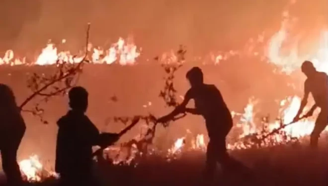 Hakkari-Van il sınırı arasında çıkan yangın korkuttu