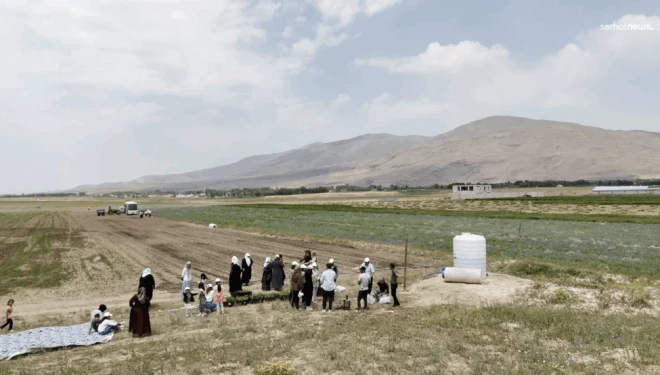 Muradiye Belediyesi, kadın eliyle üretime destek veriyor