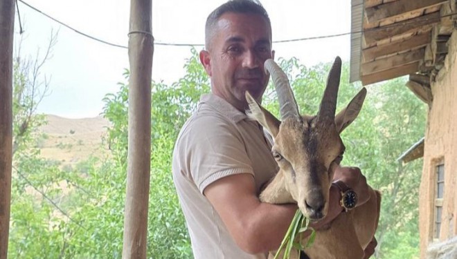Bahçesaray’da bitkin dağ keçisine şefkat eli