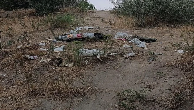 Edremit'teki Dönemeç Şelalesi çöp yuvasına döndü