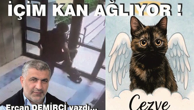 Ercan Demirci Yazdı: İÇİM KAN AĞLIYOR!