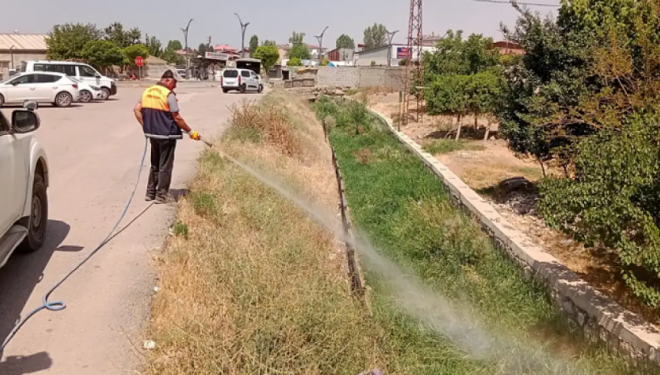 İpekyolu Belediyesi'nden ilaçlama çalışmaları