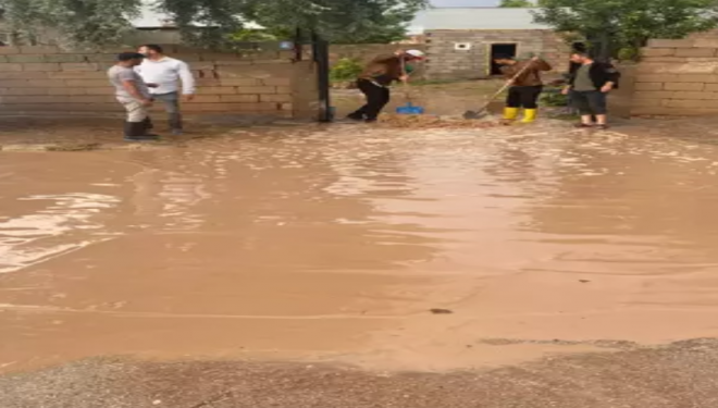 Van'da dereler taştı, bahçeler su altında kaldı