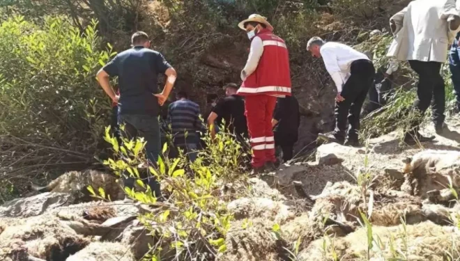 Van’da 334 koyun uçurumdan düşerek öldü