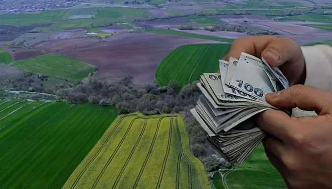 Van’ın 2 ilçesinde 4 arsa satışı yapılacak