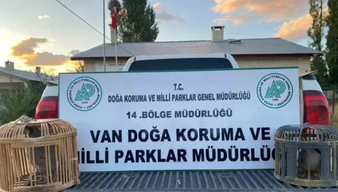 Van’da kafes avcılığı yapan şahsa para cezası