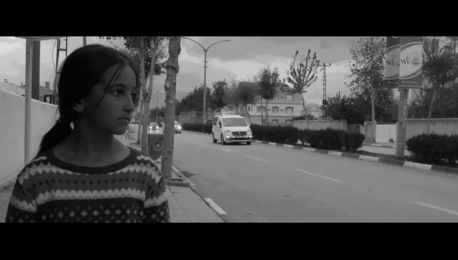 Vanlı diş hekimi Tahsin Aytekin'in ilk uzun metrajlı filmi “Define” yoğun ilgi gördü