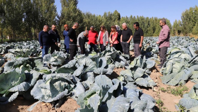 Erciş Lahanası denetimlerden tam not aldı