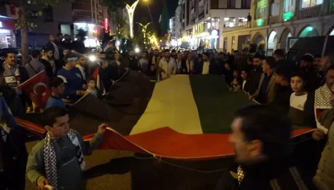 Erciş'te, 'Gazze'ye destek' yürüyüşü