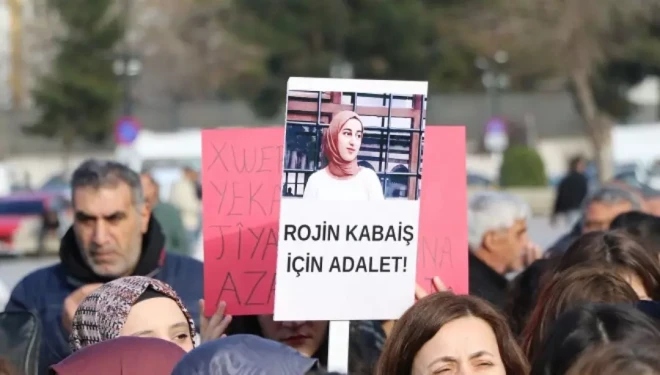 DEM Parti Van milletvekilleri mecliste Rojin Kabaiş soruşturmasındaki ihmaller soruldu