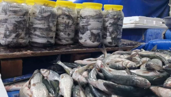 Van’da havaların soğumasıyla inci kefaline ilgi arttı