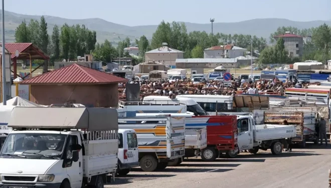 Van’da canlı hayvan pazarı o sebeple kapatıldı