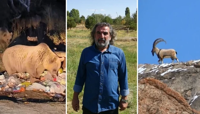 Prof. Dr. Lokman Aslan: "Yaban hayatına müdahale ekolojik dengeyi bozuyor"