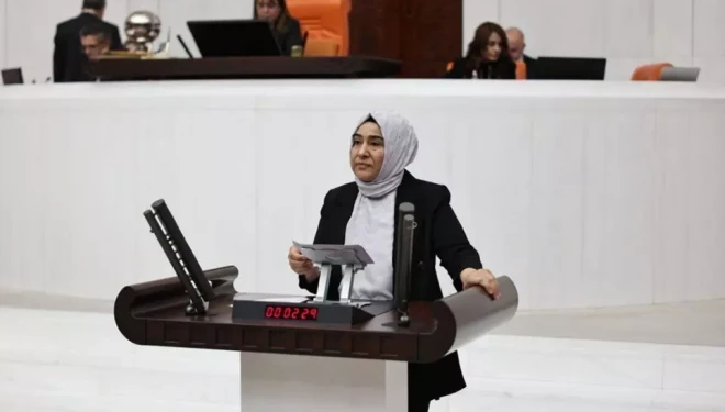 Van Gölü’nün yok olmasına sebep olan ekolojik sıkıntılar meclise taşındı