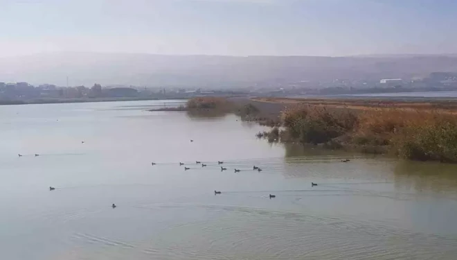 Van’da kafes avcısına 29 bin 140 lira caza