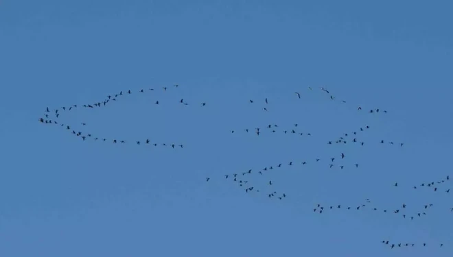 Zorlu göçün durağı Erçek Gölü