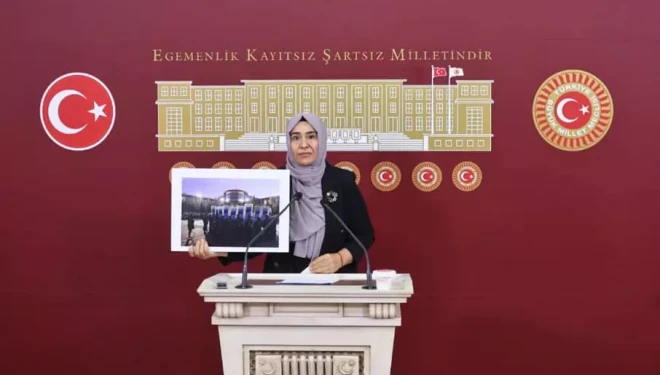 Van Milletvekili Varlı