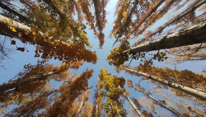 Van’ın sonbahar güzelliği: Van Kalesi ve Atatürk Kültür Parkı ziyaretçilerin gözdesi oldu