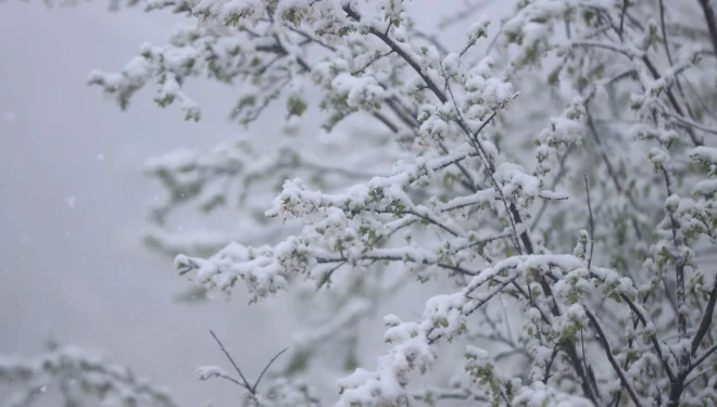 Vanlılar dikkat! Kar geliyor...