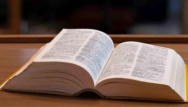 Cambridge Sözlüğü 2025’in kelimesini açıkladı