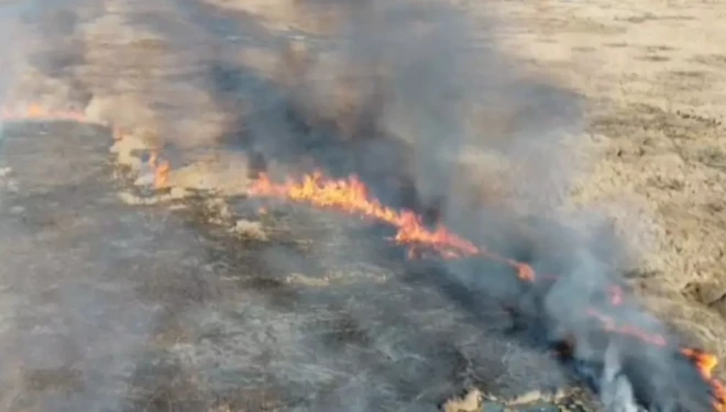 Van’da sazlık yangını